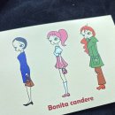 보니따 | 부산 골격진단 스트레이트 체형 진단후기 보니따칸데레