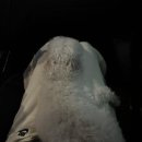 송도위드치과의원 이미지