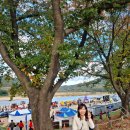 선유마을민박 이미지