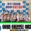 어룡태권도 이미지