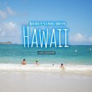 아우디서초서비스익스프레스 | 하와이 호텔 홀리데이 인 익스프레스 와이키키