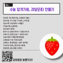 12월 원예: 미리 만나는 크리스마스 이미지