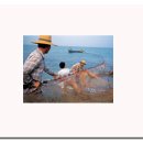 멸치후리는노래 이미지