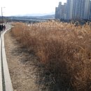 (주)호텔롯데 롯데리조트 찜질방 네이버블로그