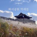 화서공원 | 수원 가을 나들이 행궁동 화서공원 억새 명소 추천