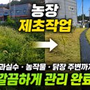 무성농장 | 양주 농장 제초작업 후기｜과실수·농작물 주변 예초로 깔끔하게 관리