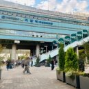 뚝섬한강공원-66 이미지