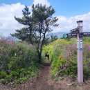 휴양림로 이미지