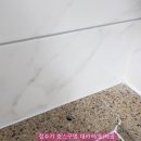 코웨이한강신도시