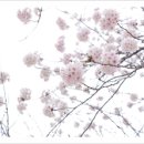 푸른섬한의원 이미지