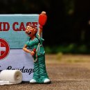 가나동물병원 이미지