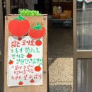 푸름드리 네이버블로그