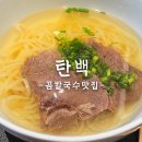 탄백 | 시청역 맛집 깔끔한 곰칼국수 맛집 탄백 솔직후기