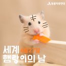 🐯세븐틴 호시 달글🐯 호랑이 동굴 62 | 세븐틴 호시, 일반인 권햄랑과의 열애설...심지어 1주년? 플레디스 측 "사실이면 축하" 이미지