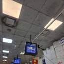 진도수산 | 노량진 수산시장 맛집 진도진진수산 내돈내산 후기