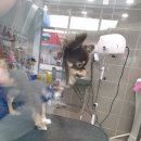 몽쭈쭈 이미지