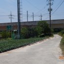 함라초등학교 이미지