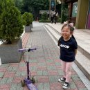 세한어린이집 | #294 육아일기) 만5세 한자 배우기 시작 / 6세 문제집 / 용산어린이정원 / 결혼기념일