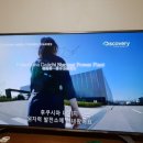 한국 최초 우주인 이소연 근황 이미지