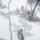 한국 결혼 문화원 이미지