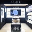 원정헤어뷰티 이데일리