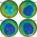 올해 5월 오존 농도 2010년이후 월평균 최고기록… 이미지