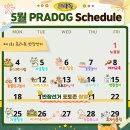 프라독 네이버블로그