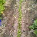 예곡농장 이미지