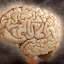 브레인 사이언스 이미지