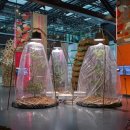 so tree farm 이미지