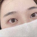 미모당 이미지
