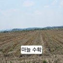 유곡2 이미지