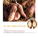 건강한유통 네이버블로그