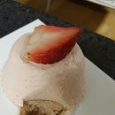 매그놀리아 이미지