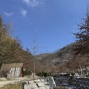 자두마을 | 전북 내장산 애견동반 캠핑- 자두마을 캠핑장 A2 사이트 후기