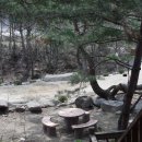 횡성송어횟집 이미지