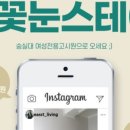꽃눈스테이