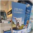 한결같은 동물병원 이미지