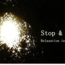 바람소리새소리 이미지