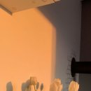 아이엘헤어 이미지