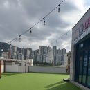 신난댕 애견유치원 이미지