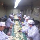 경북깐마늘 이미지