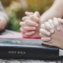 (주)모으리 이미지