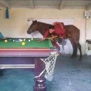 칸당구장 이미지