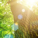 비타민신통 이미지