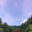 좌구산자연휴양림 이미지