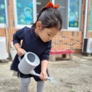 양문어린이집 이미지