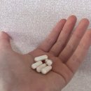 하이동물병원 이미지