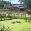 갈곡 연정 이미지