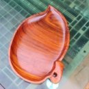 오칸 Daum카페